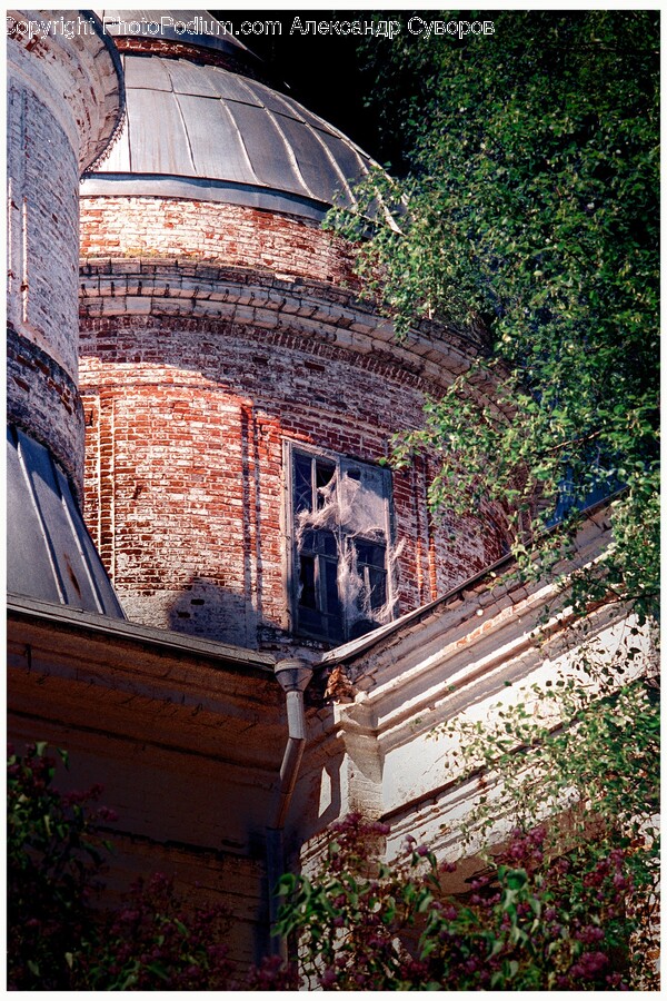 Brick, Architecture, Building, Outdoors, Ivy