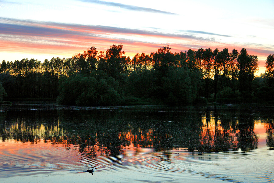 Nature, Outdoors, Water, Ripple, Sky