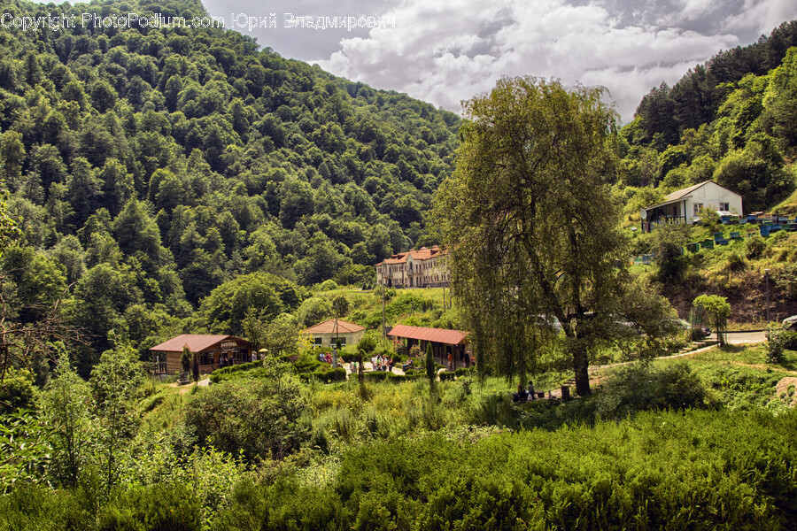 Nature, Outdoors, Countryside, Architecture, Building