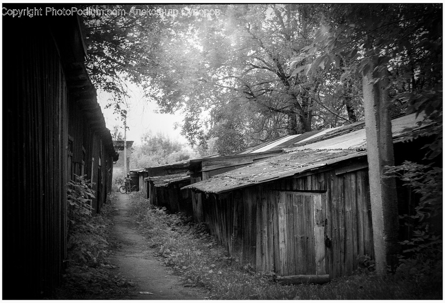 Architecture, Building, Countryside, Hut, Nature