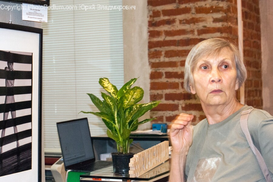 Plant, Potted Plant, Leaf, Body Part, Finger