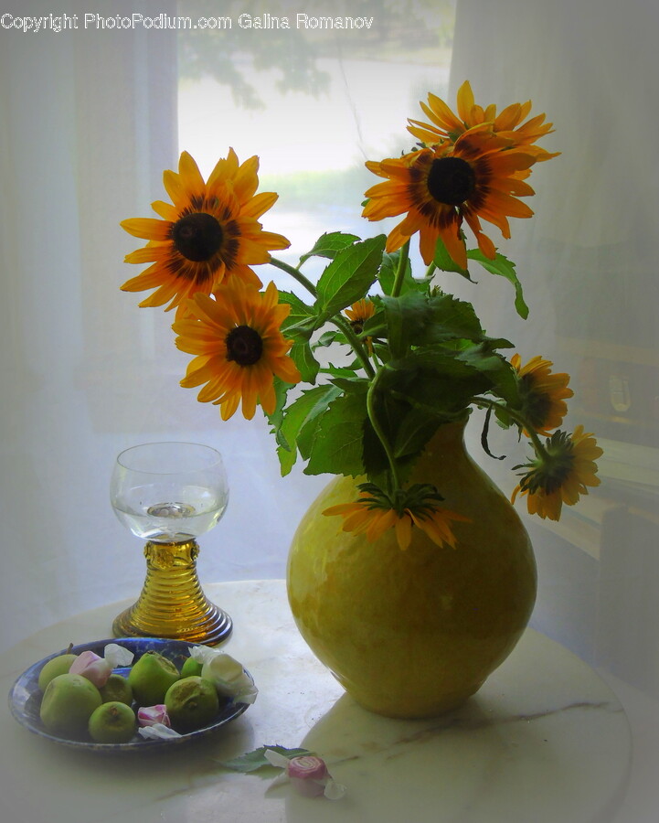 Flower, Flower Arrangement, Plant, Flower Bouquet, Glass