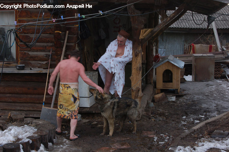People, Person, Human, Wiring, Rubble, Animal, Canine