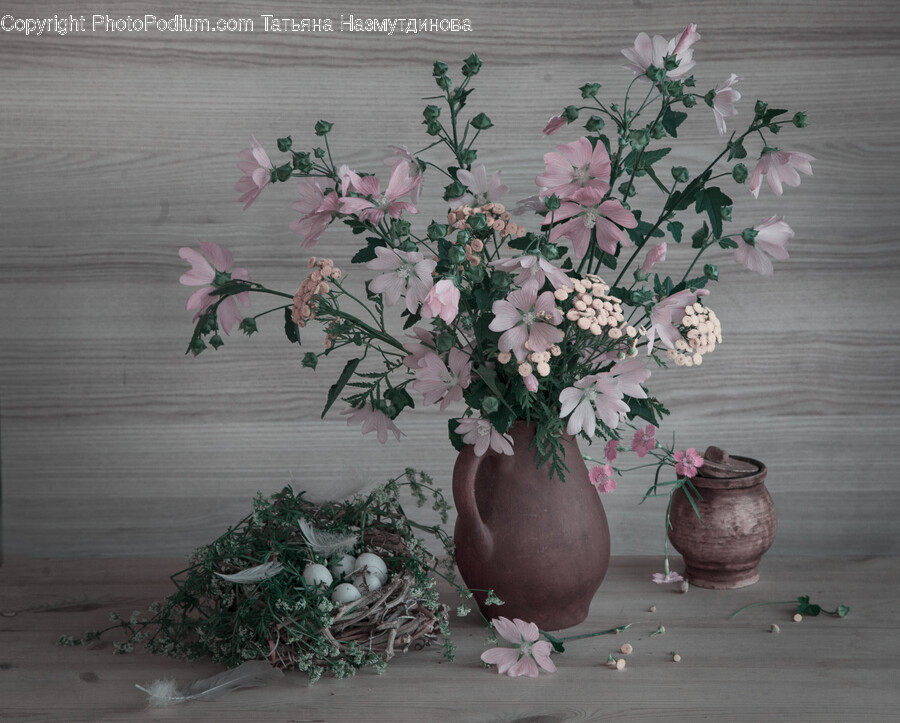 Flower, Flower Arrangement, Plant, Pottery, Cookware