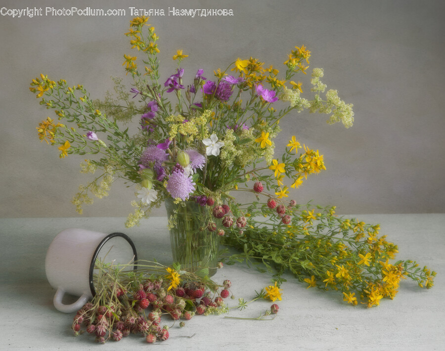 Flower, Flower Arrangement, Plant, Flower Bouquet, Ikebana