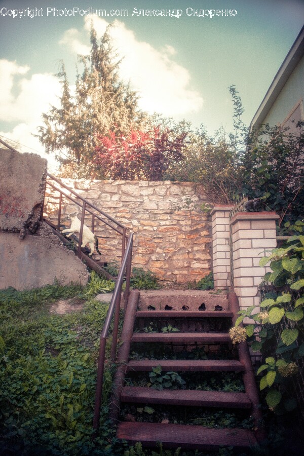 Handrail, Architecture, Building, House, Housing