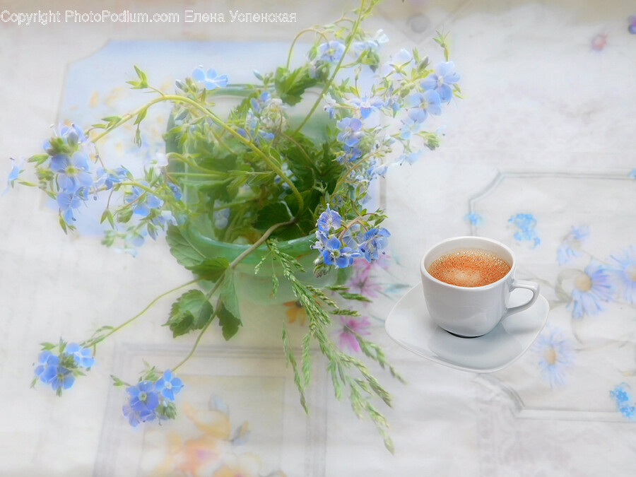 Cup, Saucer, Herbal, Herbs, Plant