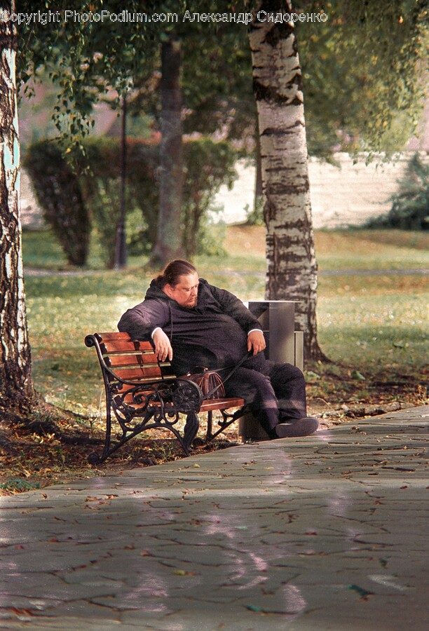 Person, Sitting, Bench, Furniture, Adult