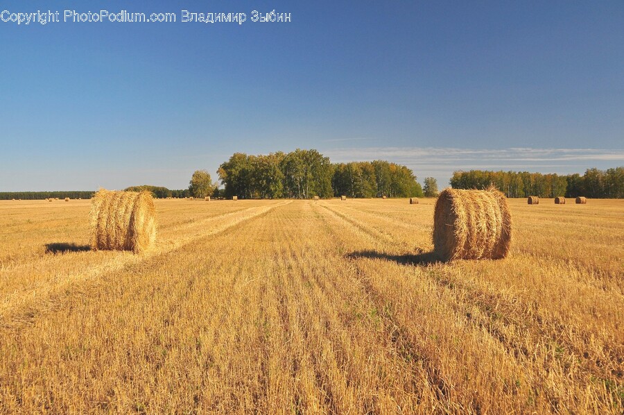 Nature, Outdoors, Countryside, Straw, Field