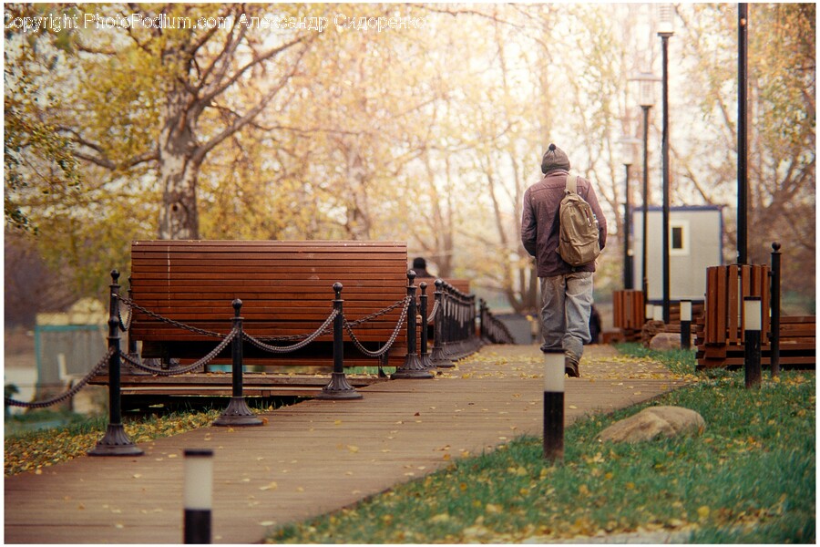 Bench, Furniture, Path, Wood, Handrail