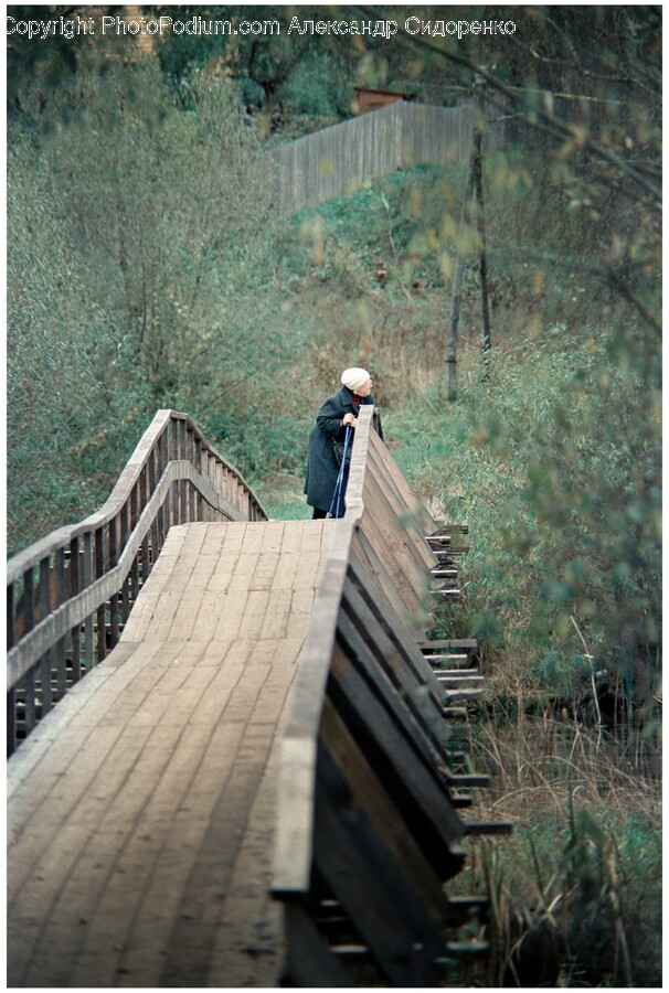 Boardwalk, Bridge, Handrail, Wood, Adult