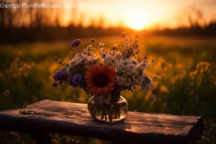 Nature, Outdoors, Sky, Scenery, Plant