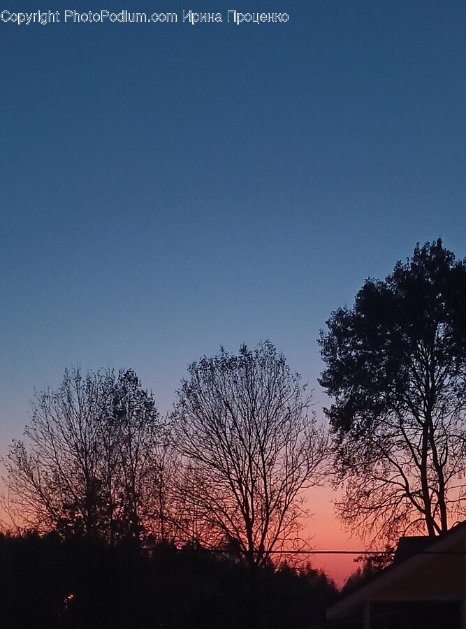 Nature, Outdoors, Sky, Sunset, Silhouette