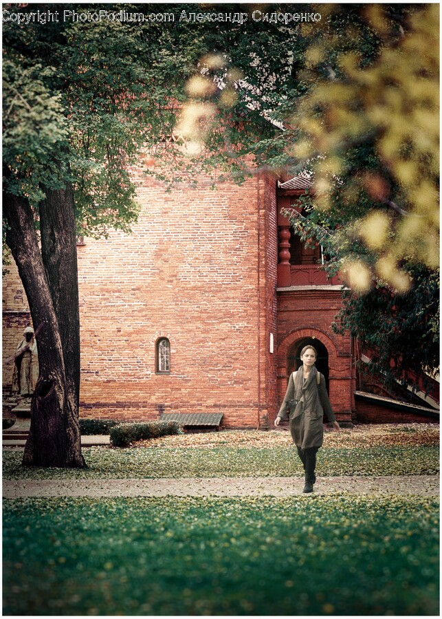 Clothing, Coat, Plant, Tree, Tree Trunk