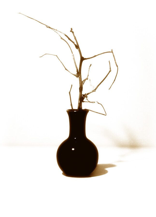 Jar, Pottery, Vase, Flower, Flower Arrangement