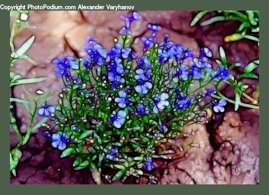 Art, Stained Glass, Blossom, Flora, Flower, Plant, Violet