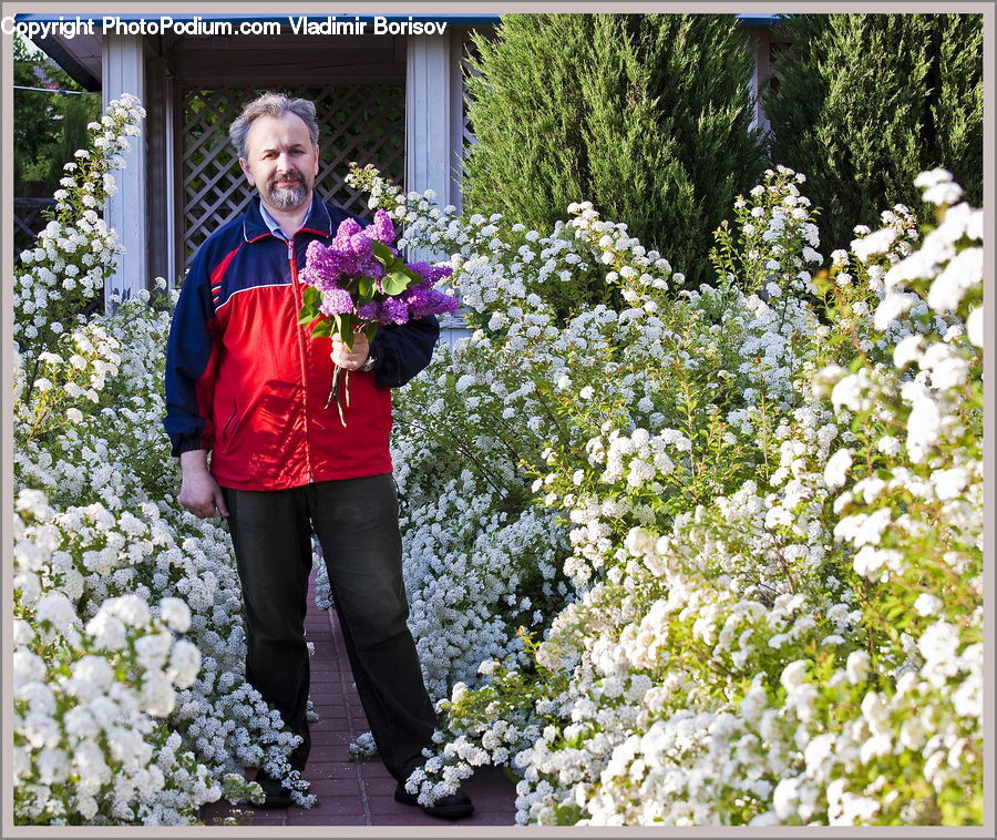 Human, People, Person, Plant, Potted Plant, Flower, Flower Arrangement