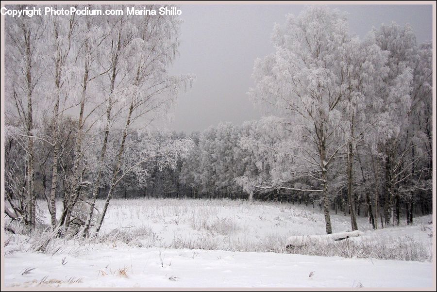 Frost, Ice, Outdoors, Snow, Landscape, Nature, Scenery