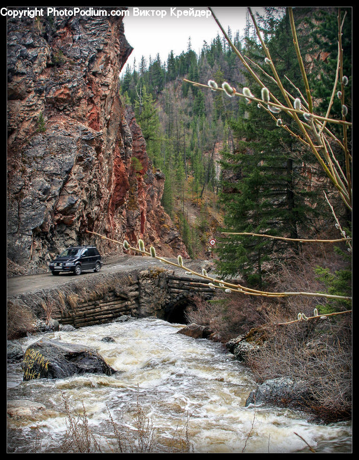 Car, Suv, Vehicle, Landslide, Creek, Outdoors, River