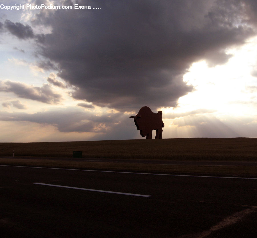 Horizon, Sky, Dirt Road, Gravel, Road, Angus, Animal