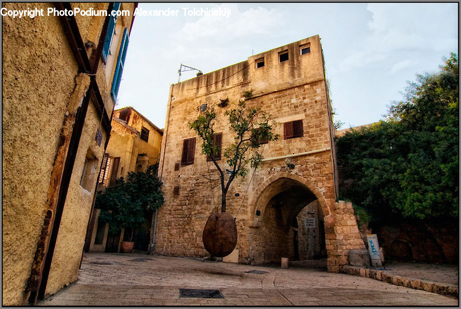 Plant, Potted Plant, Castle, Fort, Alley, Alleyway, Road