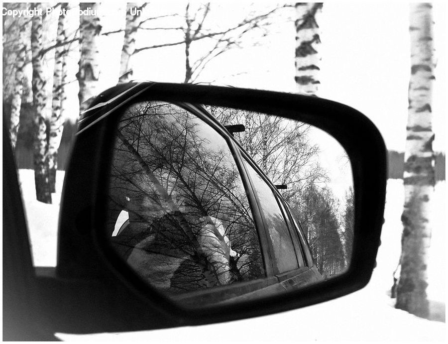Silhouette, Car Mirror, Mirror