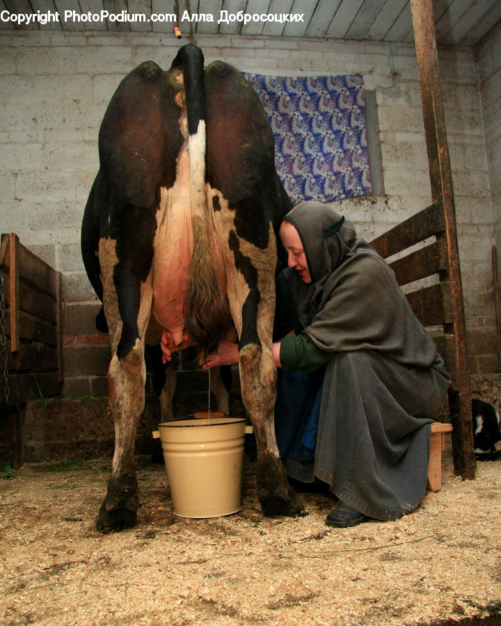 People, Person, Human, Pot, Pottery, Bucket, Angus