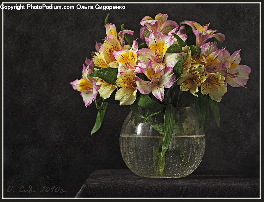 Floral Design, Flower, Flower Arrangement, Flower Bouquet, Ikebana, Flora, Gladiolus