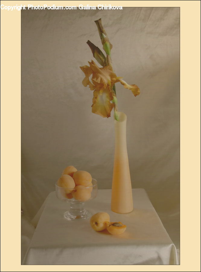 Flower Arrangement, Ikebana, Plant, Potted Plant, Vase, Flora, Flower