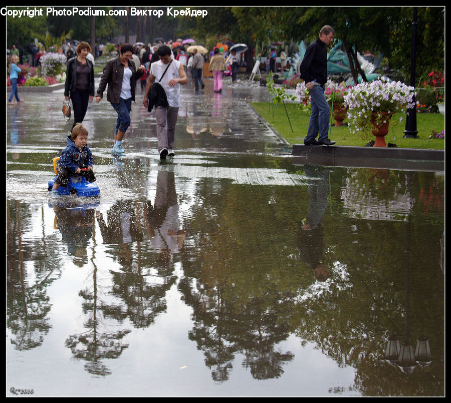 Human, People, Person, Plant, Potted Plant, Fountain, Water