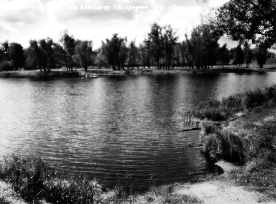 Outdoors, Ripple, Water, Pond, Land, Marsh, Swamp