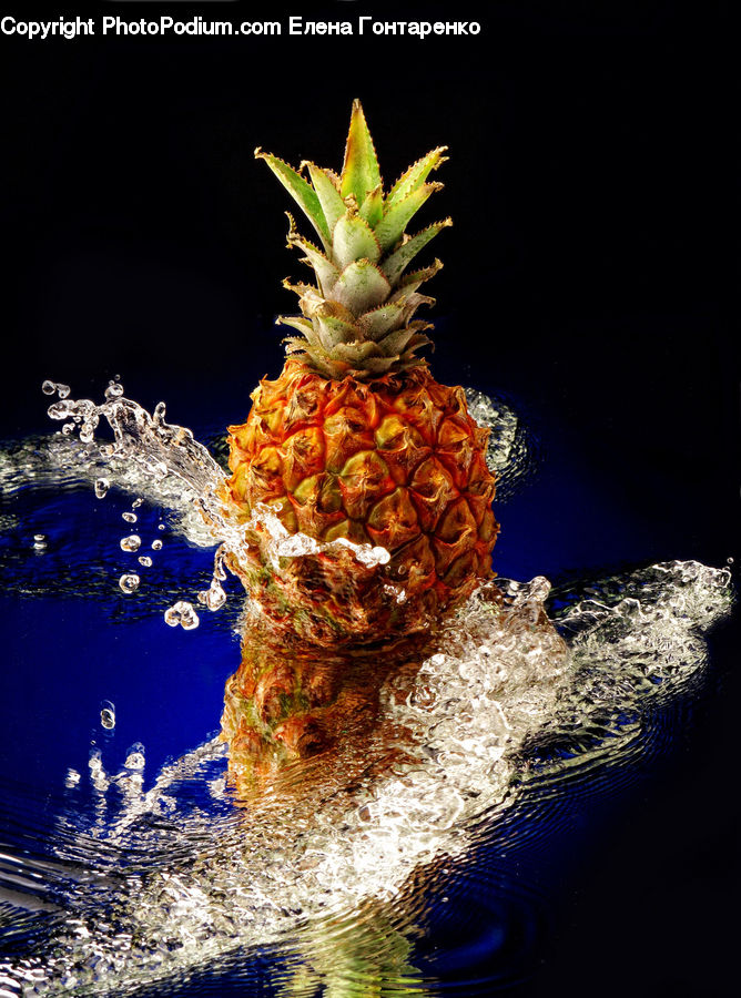Fruit, Pineapple, Water, Conifer, Fir, Plant, Tree