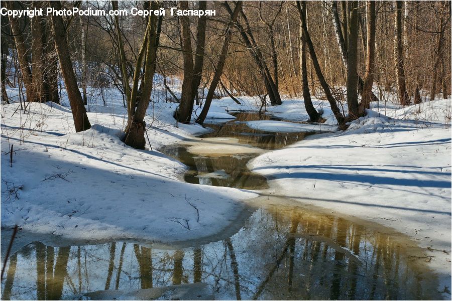 Boat, Watercraft, Ice, Outdoors, Snow, Forest, Vegetation