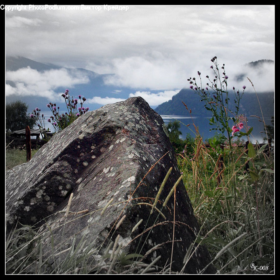 Grassland, Mound, Bunker, Cabin, Hut, Rural, Shack