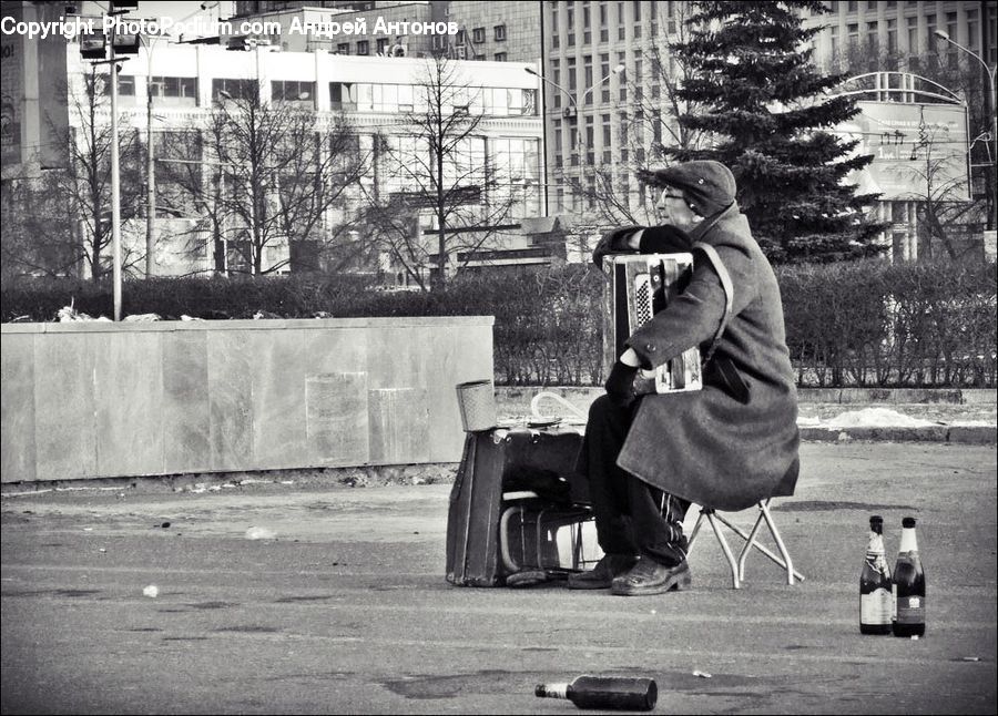 People, Person, Human, Bench, City, Downtown, Urban