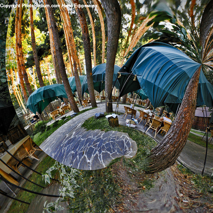 Fountain, Water, Umbrella, Tent, Canopy, Backyard, Yard