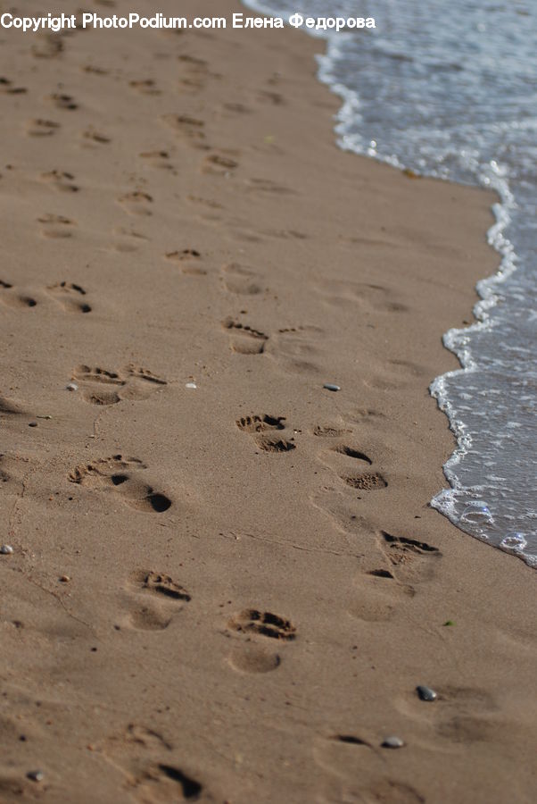 Footprint, Outdoors, Sand, Soil