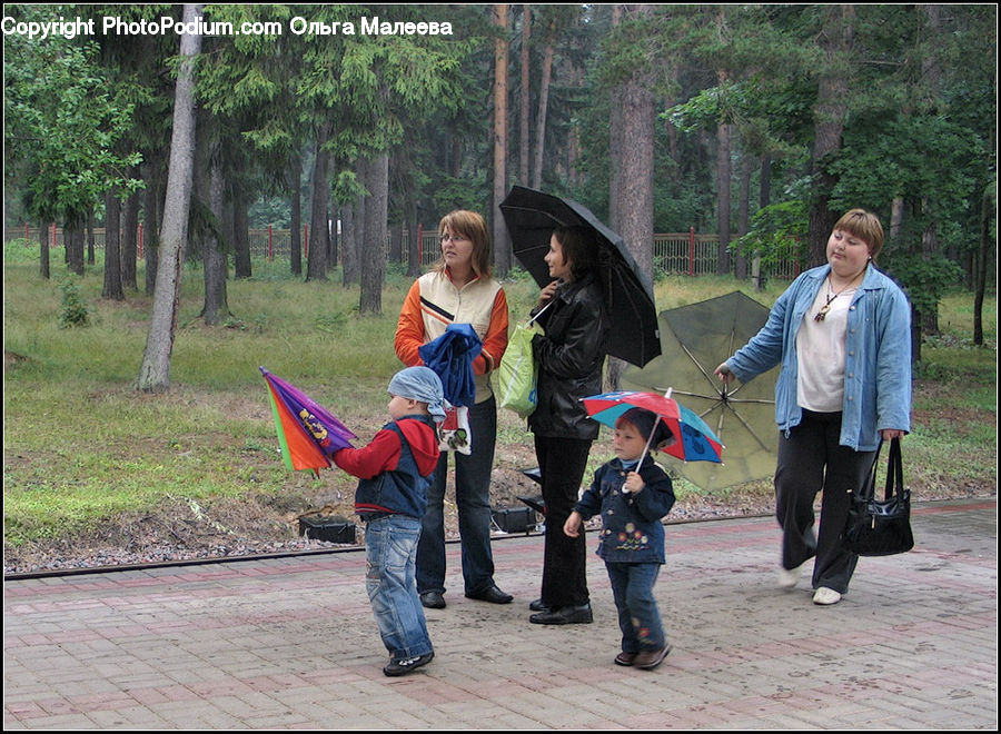 Human, People, Person, Umbrella, Leisure Activities, Walking, Tourist
