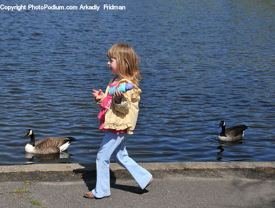 People, Person, Human, Bird, Goose, Waterfowl, Duck