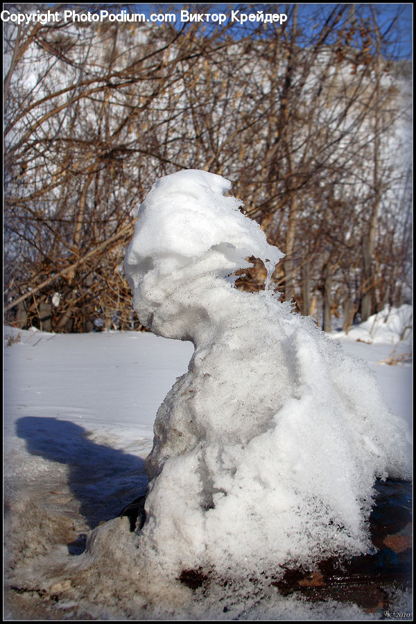 Ice, Snow, Snowman, Winter, Outdoors, Conifer, Fir