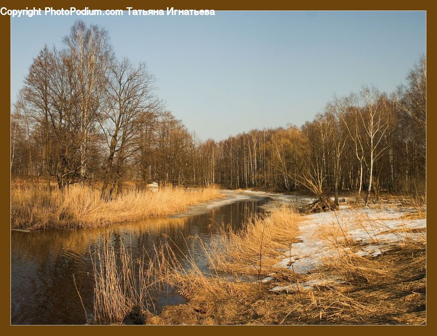 Flood, Field, Grass, Grassland, Plant, Land, Outdoors