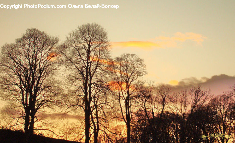 Dawn, Dusk, Sky, Sunrise, Sunset, Red Sky, Landscape