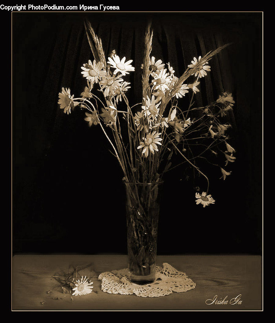 Flower Arrangement, Ikebana, Plant, Potted Plant, Vase, Blossom, Flora