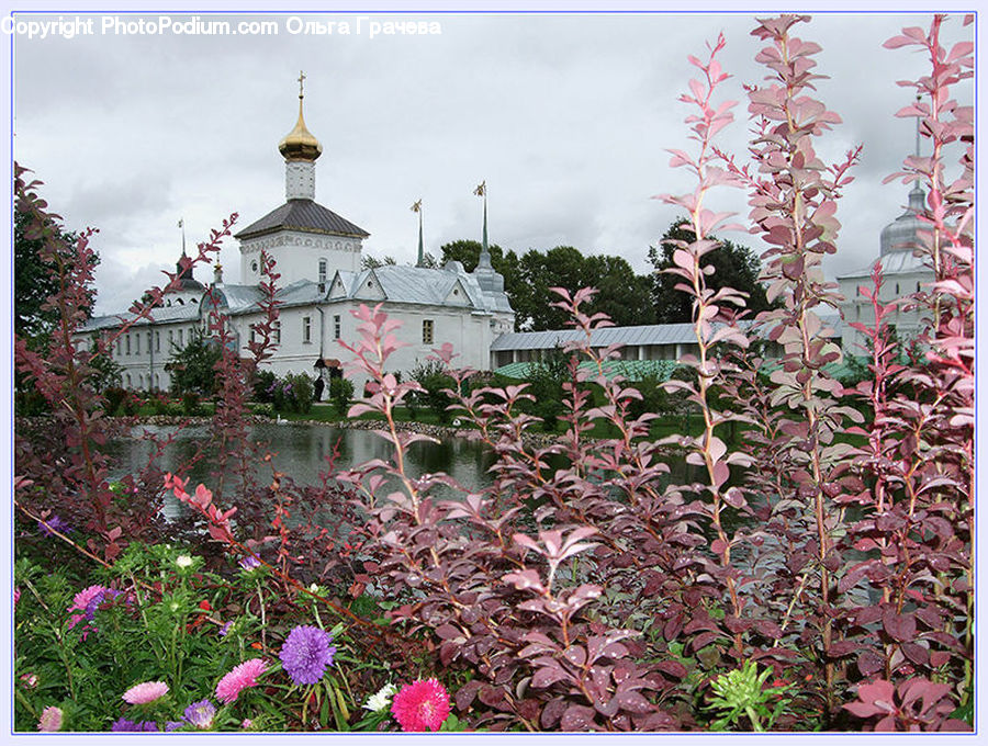 Blossom, Flora, Flower, Plant, Architecture, Dome, Mosque