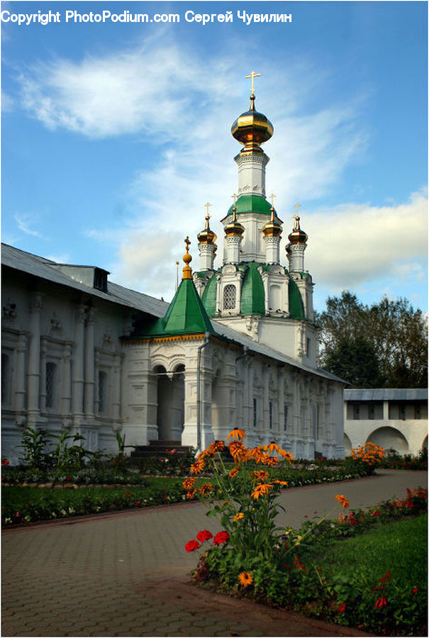 Plant, Potted Plant, Architecture, Bell Tower, Clock Tower, Tower, Housing