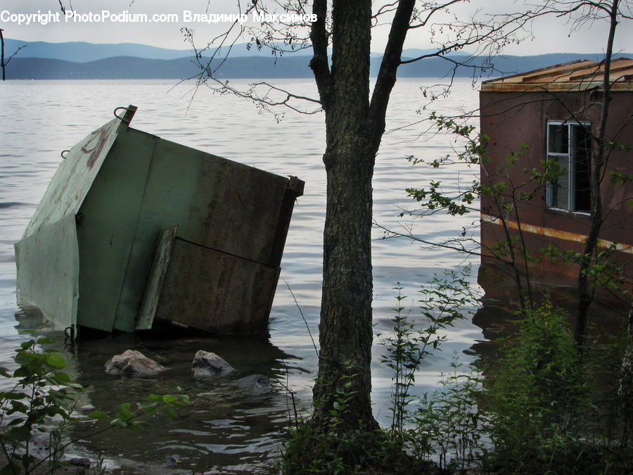Plant, Potted Plant, Boat, Dinghy, Outhouse, Shack, Watercraft