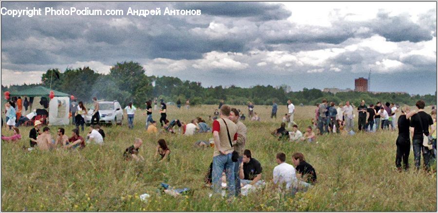 People, Person, Human, Planting, Field, Grass, Grassland