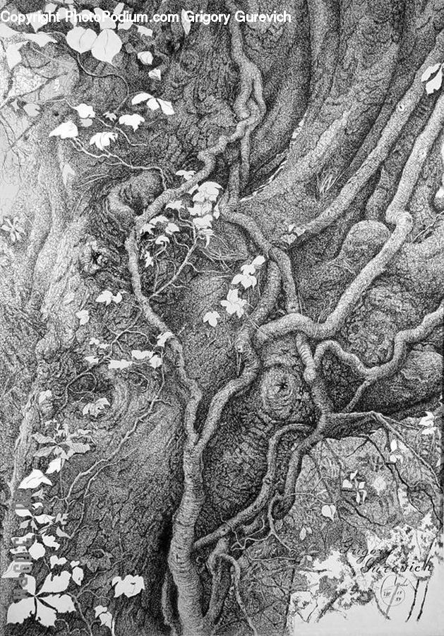 Oak, Tree, Wood, Art, Carpet, Tapestry, Atlas