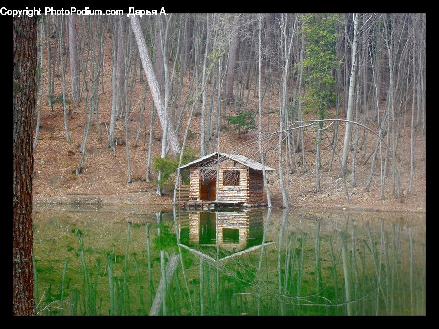 Cabin, Hut, Rural, Shack, Shelter