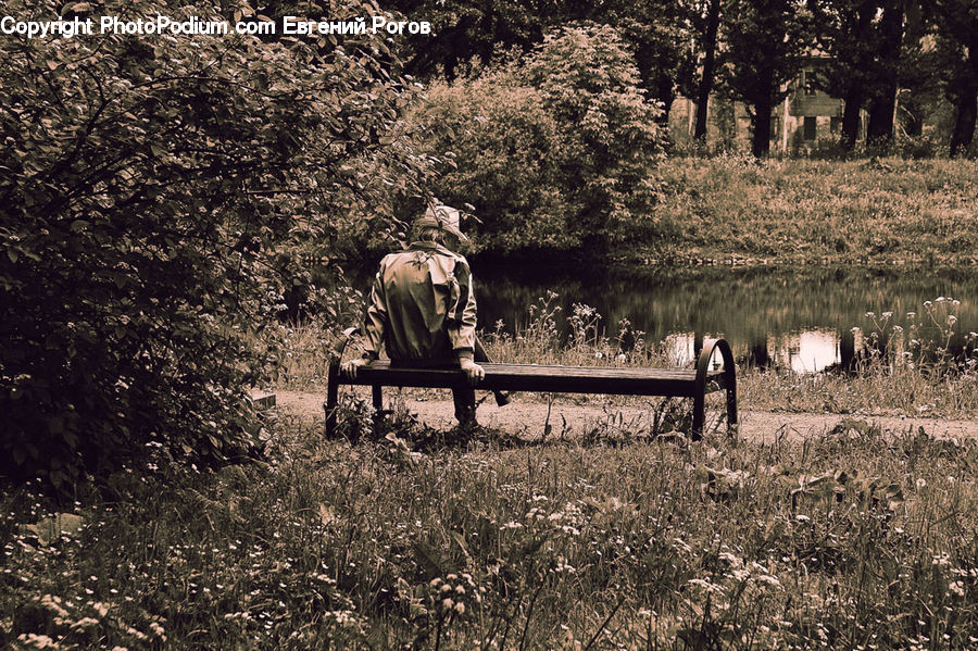 Bench, Park Bench, Forest, Grove, Land, Ruins, Plant